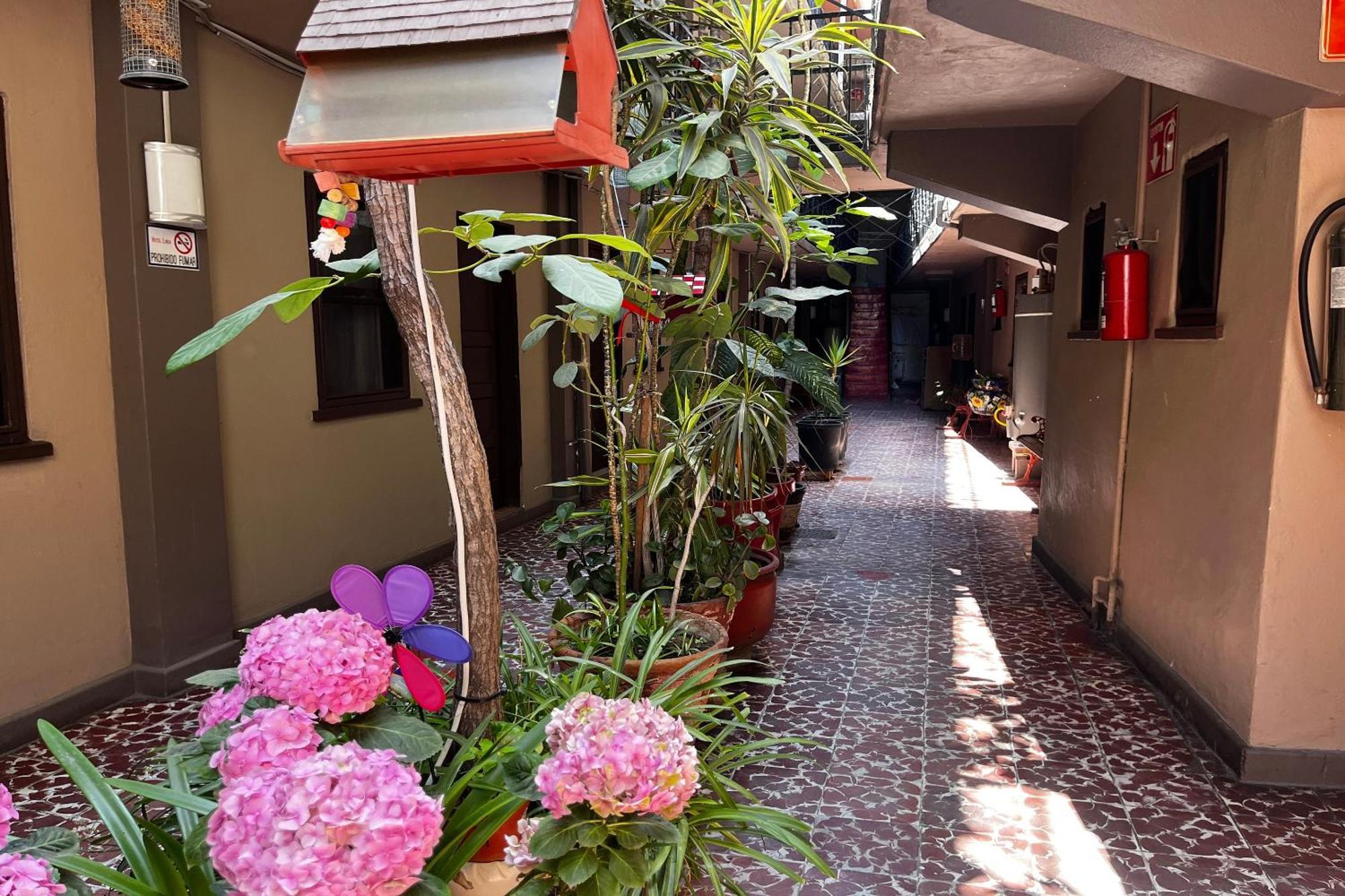 Oyo Hotel Linda تيجوانا المظهر الخارجي الصورة