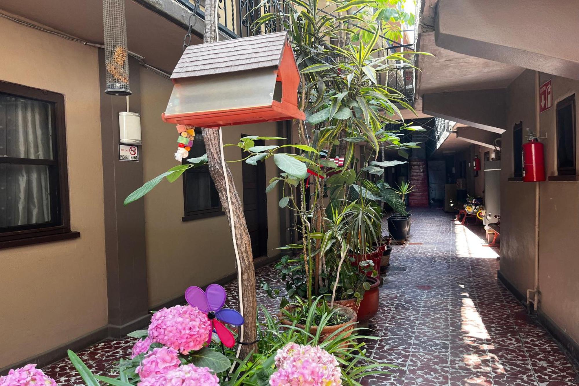 Oyo Hotel Linda تيجوانا المظهر الخارجي الصورة