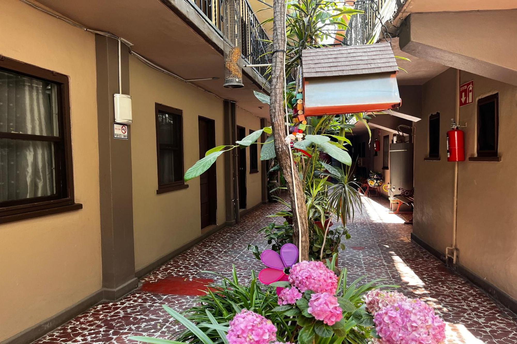 Oyo Hotel Linda تيجوانا المظهر الخارجي الصورة